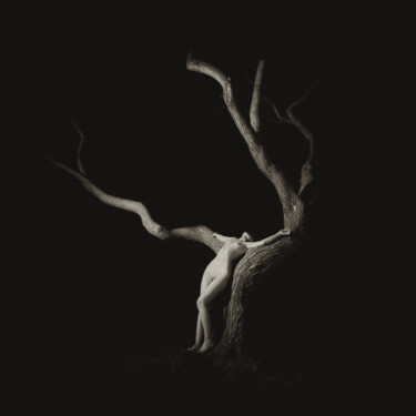Fotografía titulada "Mother Nature" por John Donica, Obra de arte original, Fotografía analógica