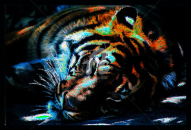 Arts numériques intitulée "Tiger" par J.Jokko, Œuvre d'art originale, Peinture numérique