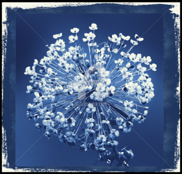 Arts numériques intitulée "Printemps-bleu" par J.Jokko, Œuvre d'art originale, Architecture