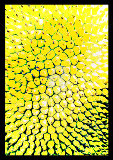 Arts numériques intitulée "motif-fruit-de-Jack" par J.Jokko, Œuvre d'art originale, Architecture