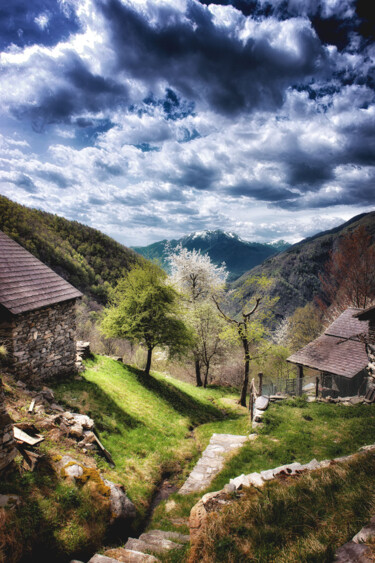 Fotografia intitolato "Frühling auf der Al…" da John Gerard, Opera d'arte originale, Fotografia digitale