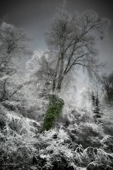 Photographie intitulée "Winterfesst, winter…" par John Gerard, Œuvre d'art originale, Photographie numérique
