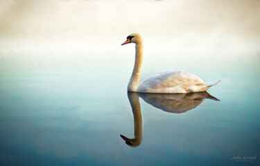 Fotografia zatytułowany „elegance” autorstwa John Gerard, Oryginalna praca, Fotografia cyfrowa