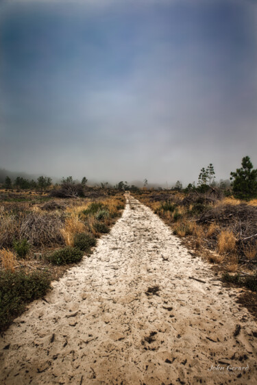 Fotografie mit dem Titel "abgeholzt, deforest…" von John Gerard, Original-Kunstwerk, Digitale Fotografie