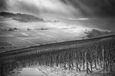 Fotografie getiteld "Winterruhe" door John Gerard, Origineel Kunstwerk, Digitale fotografie