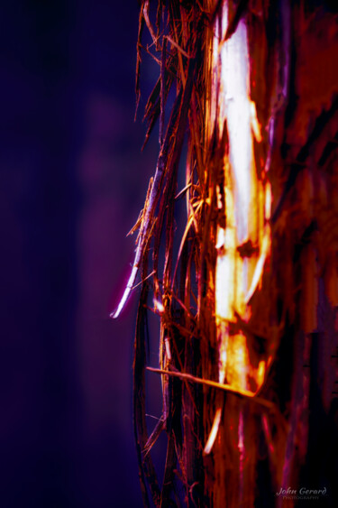 Цифровое искусство под названием "inneres Licht" - John Gerard, Подлинное произведение искусства, Цифровая живопись