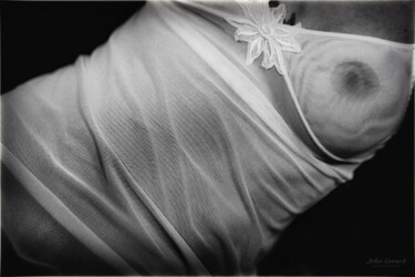 Photographie intitulée "body" par John Gerard, Œuvre d'art originale, Photographie numérique
