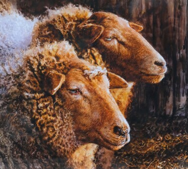 Painting titled "Ewes" by John Hancock, Original Artwork, Watercolor