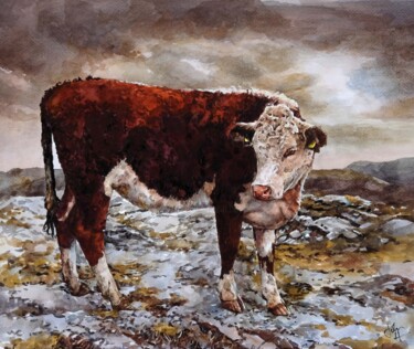 Malerei mit dem Titel "Mountain cow" von John Hancock, Original-Kunstwerk, Aquarell