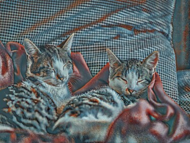 Arts numériques intitulée "Chats dans un panier" par John Mailly, Œuvre d'art originale, Travail numérique 2D