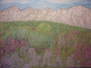 Dessin intitulée "Paysage fleuri sur…" par John Regnier, Œuvre d'art originale, Crayon