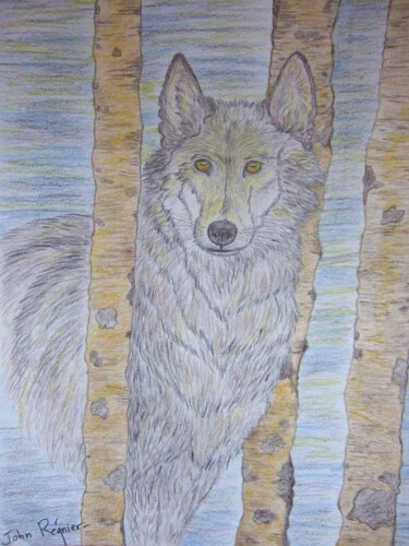 Рисунок под названием "Loup" - John Regnier, Подлинное произведение искусства, Карандаш