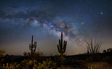 Photography titled "Sonoran Desert" by John Vermette, Original Artwork, Digital Photography