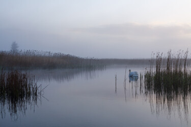 Fotografia zatytułowany „Morning Lake With S…” autorstwa John Furnes, Oryginalna praca, Fotografia cyfrowa