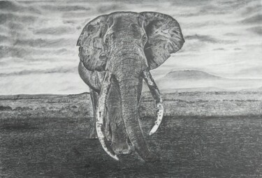 Drawing titled "Africa" by John Lazenby, Original Artwork, Pencil