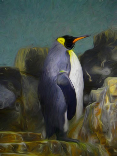 Grafika cyfrowa / sztuka generowana cyfrowo zatytułowany „Penguin” autorstwa Jokannan, Oryginalna praca, Malarstwo cyfrowe