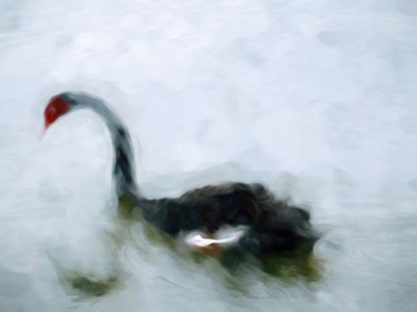 "Black Swan" başlıklı Dijital Sanat Jokannan tarafından, Orijinal sanat, Dijital Resim