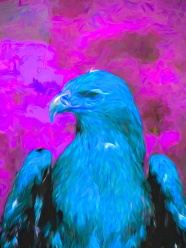 Digitale Kunst mit dem Titel "Eagle 2" von Jokannan, Original-Kunstwerk, Digitale Malerei