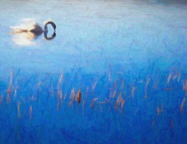 Artes digitais intitulada "Lake with Swan" por Jokannan, Obras de arte originais, Pintura digital