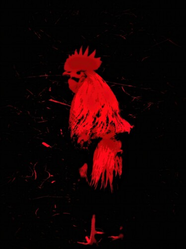Digitale Kunst mit dem Titel "Rooster" von Jokannan, Original-Kunstwerk, Digitale Fotografie
