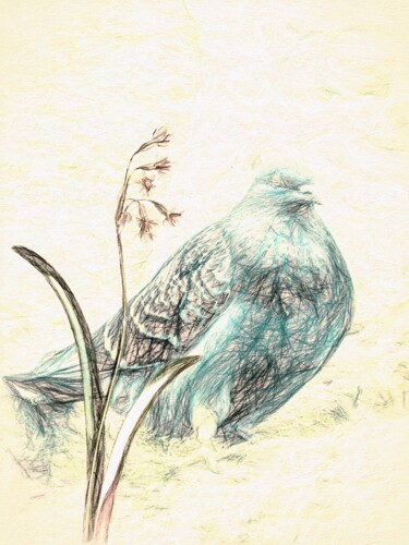 Artes digitais intitulada "Dove Sketch" por Jokannan, Obras de arte originais, Pintura digital