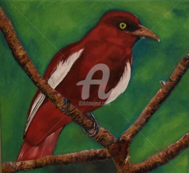 Pintura intitulada "peinture oiseaux" por Joky, Obras de arte originais, Óleo