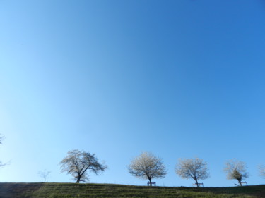 Fotografia intitolato "Les arbres" da Jomara Hamzo, Opera d'arte originale, Fotografia digitale