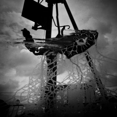 Photographie intitulée "Baleine stellaire" par Jonathan Carpentier, Œuvre d'art originale, Photographie numérique