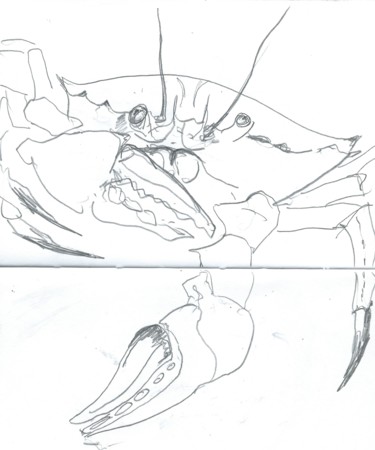 Painting titled "crab.jpg" by Jon Phillipson Brown, Original Artwork