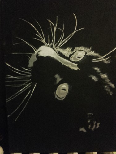 Painting titled "black cat" by Jorandtfto, Original Artwork, Acrylic