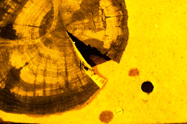 Fotografia zatytułowany „Pacman” autorstwa Jora Poshytilo, Oryginalna praca, Fotografia cyfrowa