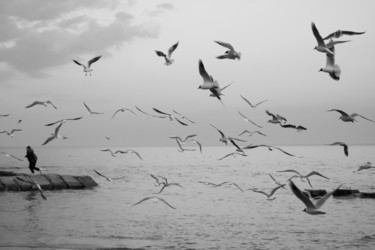 Fotografia intitulada "seagulls" por Jora Poshytilo, Obras de arte originais, Fotografia digital
