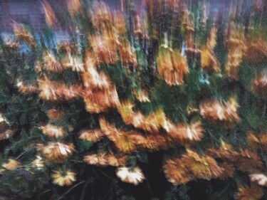 Photographie intitulée "Aster2" par Jora Poshytilo, Œuvre d'art originale, Photographie numérique