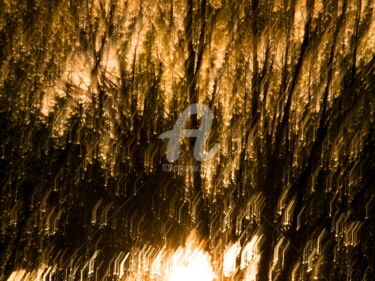 Fotografie mit dem Titel "LE CONCERT DE LUMIÈ…" von Jorg Becker, Original-Kunstwerk, Light Painting