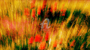 Photography titled "SPRING AWAKENING_06" by Jorg Becker, Original Artwork, Light Painting