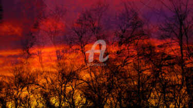 Photography titled "FIRE" by Jorg Becker, Original Artwork, Non Manipulated Photography