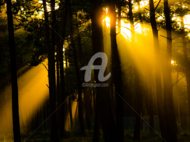NATURE ART 03 Photography titled "NATURE ART 03" by Jorg Becker, Original Art,