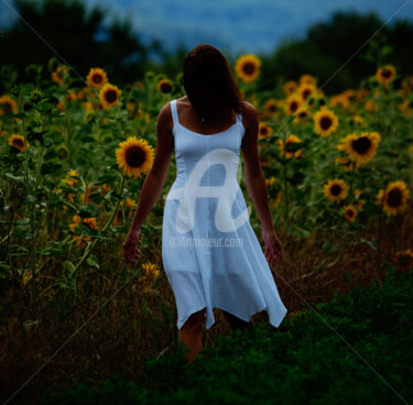 Photography titled "A SUNFLOWER" by Jorg Becker, Original Artwork, Non Manipulated Photography