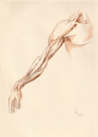 study - Leonardo´s the muscles on the shoulder and arm Dessin intitulée "study - Leonardo´s…" par Jorge Bandarra, Œuvre d'art originale, Encre