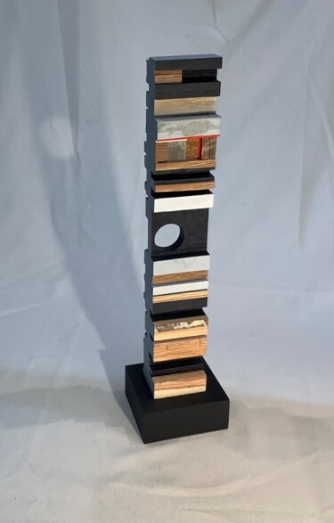 Sculpture titled "Serie “Superficies”…" by Jorge R. Barboza, Original Artwork, Wood