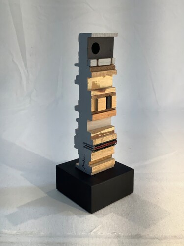 Sculptuur getiteld "Serie “Superficies”…" door Jorge R. Barboza, Origineel Kunstwerk, Hout