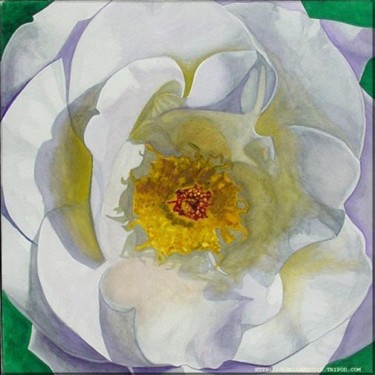 Painting titled "white rose" by Jorge Gallardo, Original Artwork, Oil
