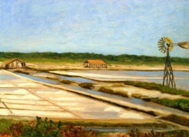 Pintura intitulada "5-Salinas de Cabo F…" por Jorge Novaes, Obras de arte originais, Óleo