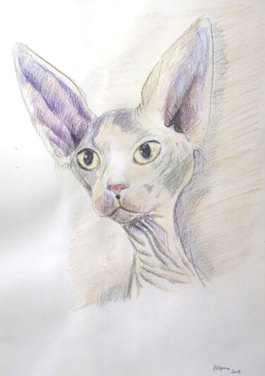 Картина под названием "Imagen de un Gato e…" - Josan Artista, Подлинное произведение искусства, Карандаш