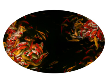 Fotografía titulada "Oval koi fish pond" por José Antonio Castro-Muñiz, Obra de arte original, Fotografía analógica Montado…
