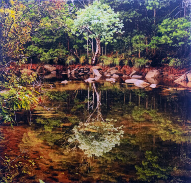 Malerei mit dem Titel "Perfect water lands…" von José Antonio Castro-Muñiz, Original-Kunstwerk, Acryl Auf Keilrahmen aus Hol…