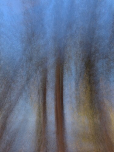 Photographie intitulée "Tres Trees" par José Antonio Muñoz, Œuvre d'art originale, Light Painting