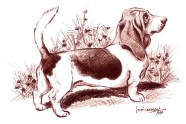 Painting titled "Basset Hound" by José Cardoso, Original Artwork, Other