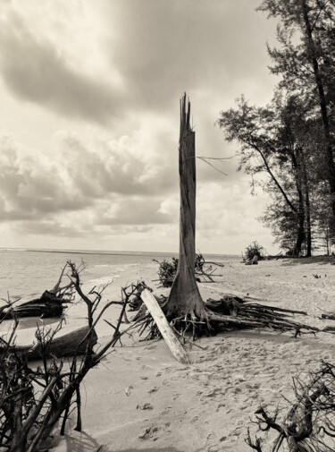 Photographie intitulée "ONCE UPON A TIME" par Jose Grimm, Œuvre d'art originale, Photographie numérique