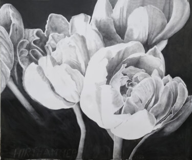 Drawing titled "white on black" by Josef Hirthammer, Original Artwork, Charcoal